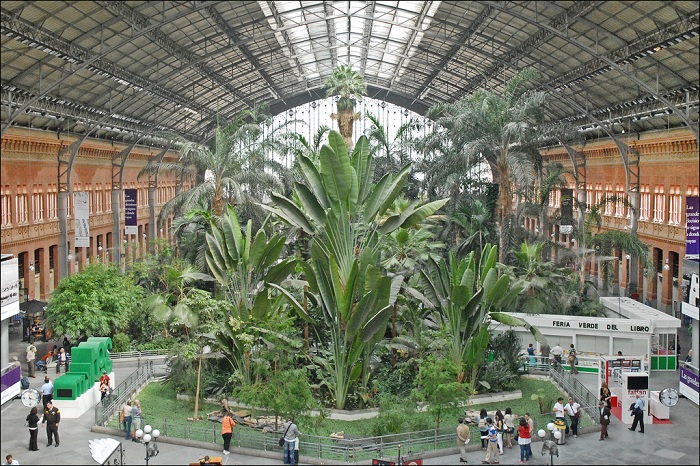 На месте старого терминала расположился огромный ботанический сад (Мадрид).
