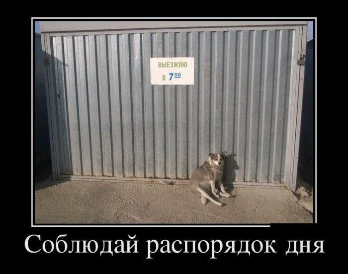 Демотиваторы черноватенькие 