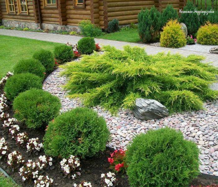 Гравийный сад: специфика создания креативного уголка на дачном участке можно, гравий, чтобы, которые, нужно, будет, использовать, гравия, растений, является, может, материала, дорожки, качестве, засыпать, создания, гравийных, клумб, гравийный, всего