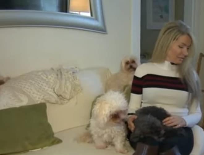 Питомцы в доме