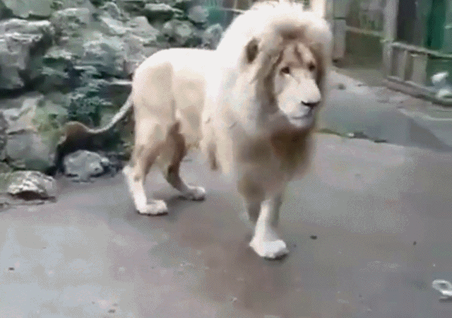 Подборка гифок Подборка гифок смешные картинки