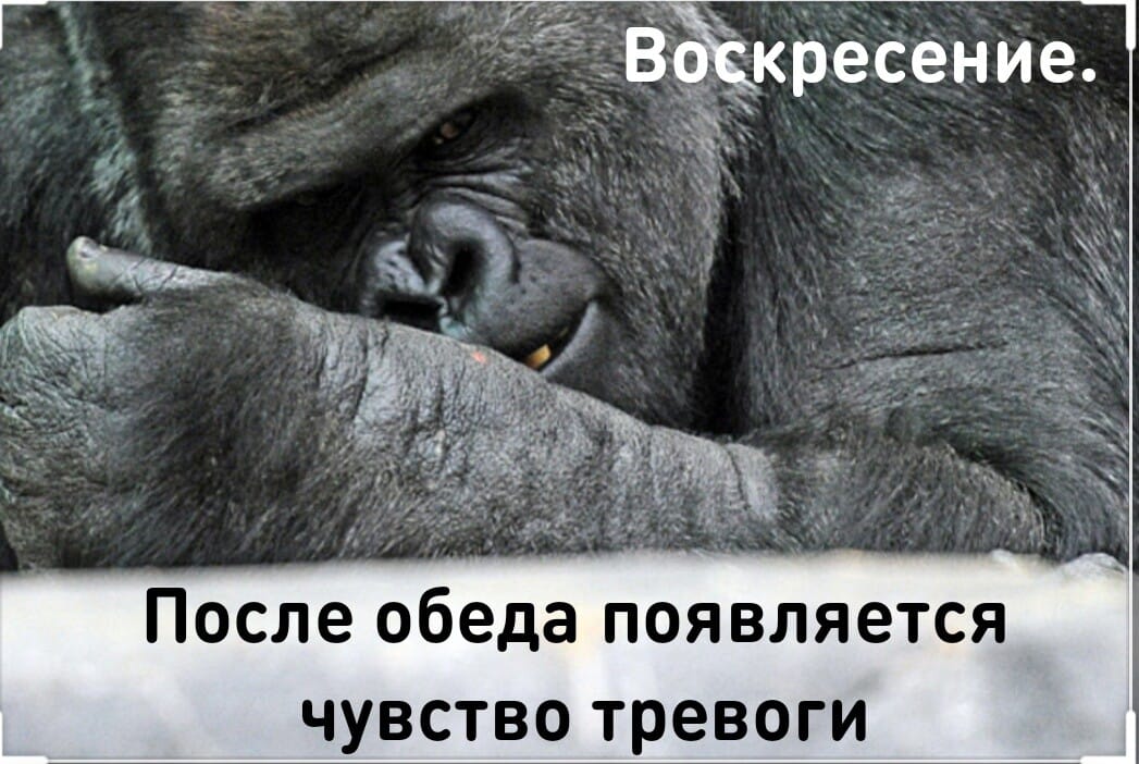 Что покажет мама после слов: «ИДИ БЫСТРЕЙ СЮДА, ЧТО-ТО ПОКАЖУ»... Весёлые,прикольные и забавные фотки и картинки,А так же анекдоты и приятное общение