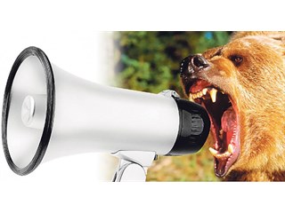 Медведя уважают не за голос. Почему российскую элиту не принимают в западное общество