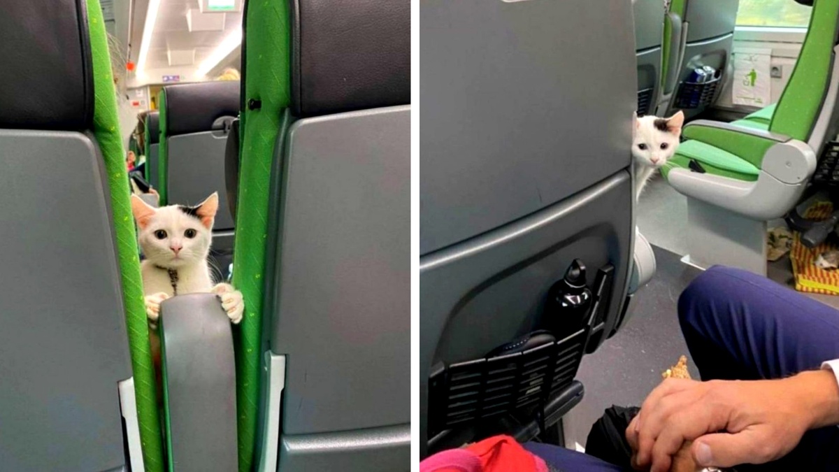 Фото с сайта: sotwe.com