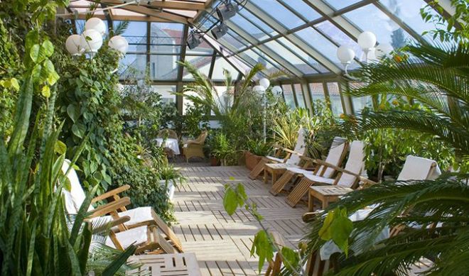 Зимний сад – особенности организации сада в частном доме, на балконе, на крыше и в других местах дача,зимний сад,идеи для дома,сад и огород