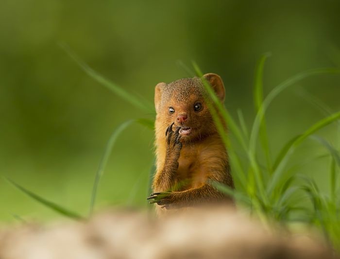Улыбательные картинки картинки, прикол., фото