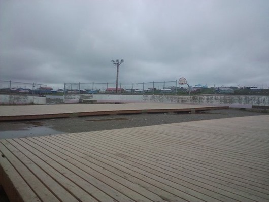 Занимательная Аляска Занимательная Аляска