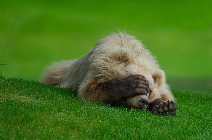 Улыбательные картинки картинки, прикол., фото