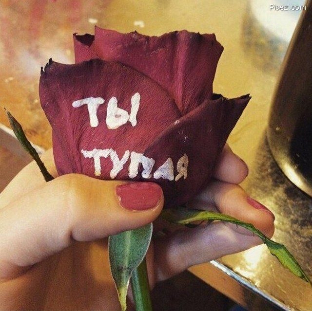 Женские приколы. 25 убойных хитов