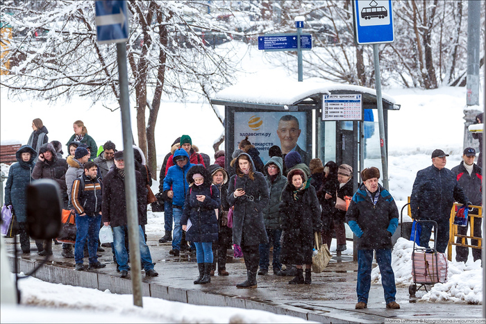 Олень дня дороги