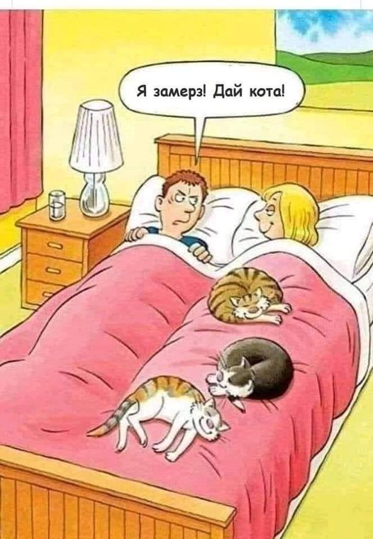 Юмор из интернета 608 позитив,смех,улыбки,юмор