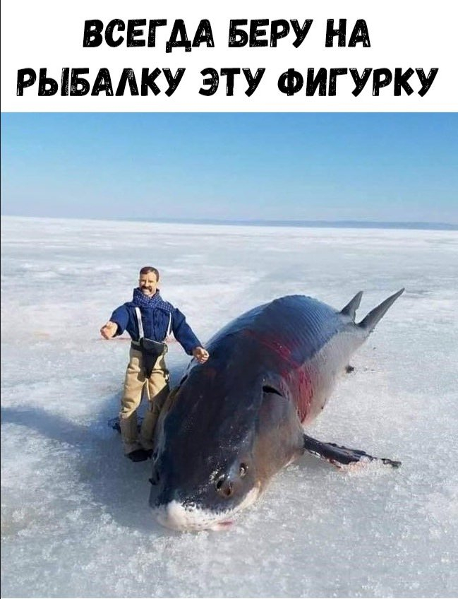 Свежая подборка забавных шуточек Свежая подборка забавных шуточек