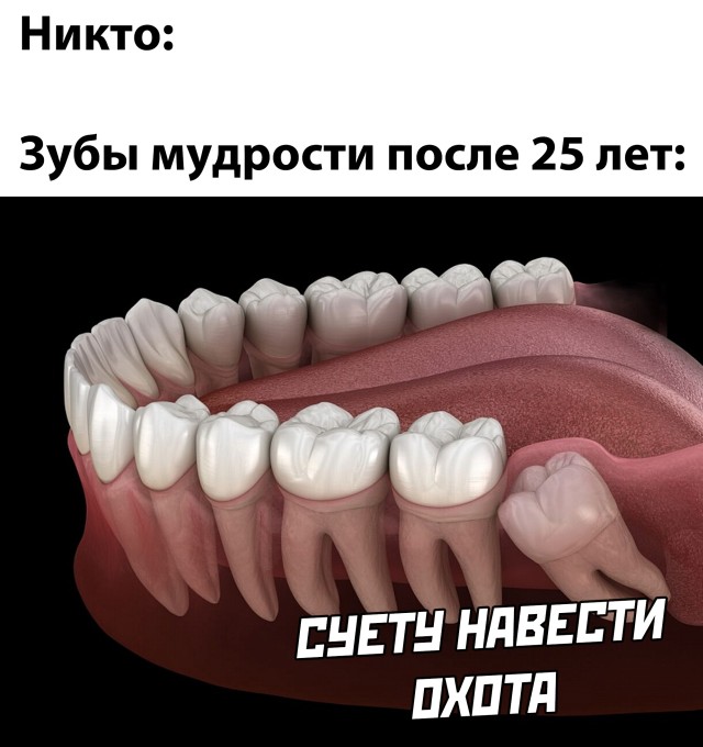 Подборка прикольных картинок. Вечерний выпуск Подборка прикольных картинок. Вечерний выпуск смешные картинки,фото-приколы,юмор