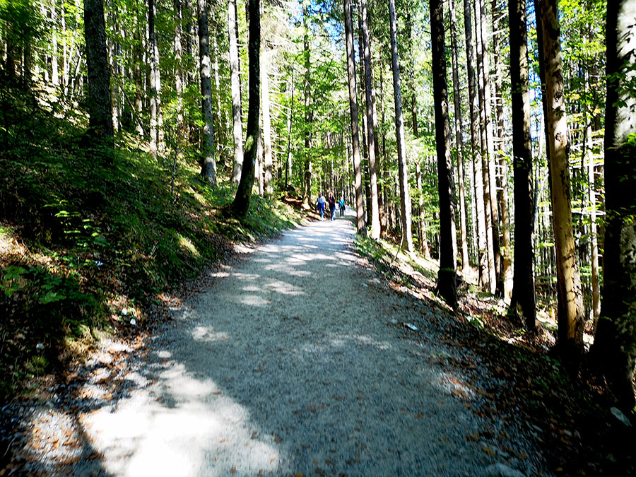 Необычный Кусочек Австрии: «Highline 179» И Озеро Планзее Необычный Кусочек Австрии: «Highline 179» И Озеро Планзее авиатур