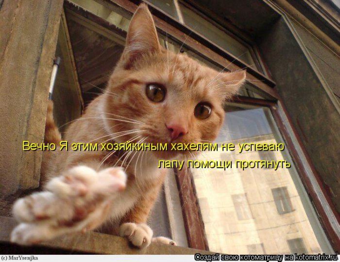 Мысли вслух :)
