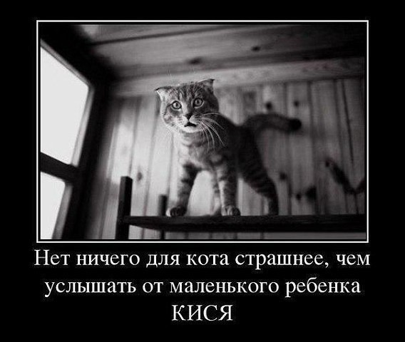 Лето, жара, безветрие. На берегу 4-й час сидит мужик и смотрит на неподвижный поплавок… Юмор,картинки приколы,приколы,приколы 2019,приколы про