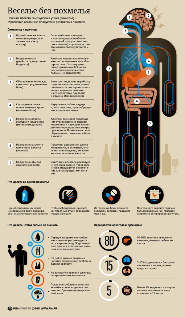 Инфографика. Как пить без похмелья?