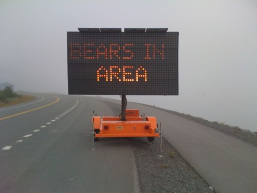 Занимательная Аляска Занимательная Аляска