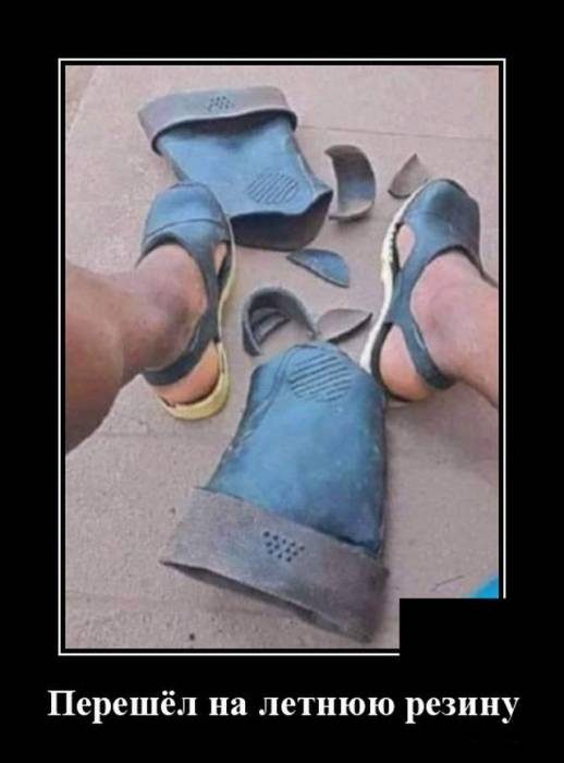 Смешные картинки в чёрной рамке для хорошего настроения! 