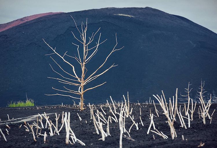 Как люди едут на Толбачик после извержения. Камчатка. Россия Как люди едут на Толбачик после извержения. Камчатка. Россия Война и мир