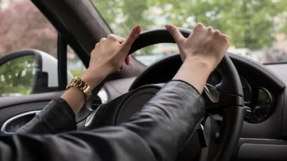 Как устранить насекомых из салона автомобиля после поездки на природу
