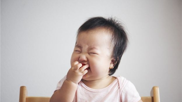 На вкус и цвет... Что влияет на наши предпочтения в еде На вкус и цвет... Что влияет на наши предпочтения в еде еда,жизнь,интересное,наука