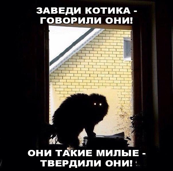 Подборка  шуточек, чтобы взбодрить ваш рабочий день 