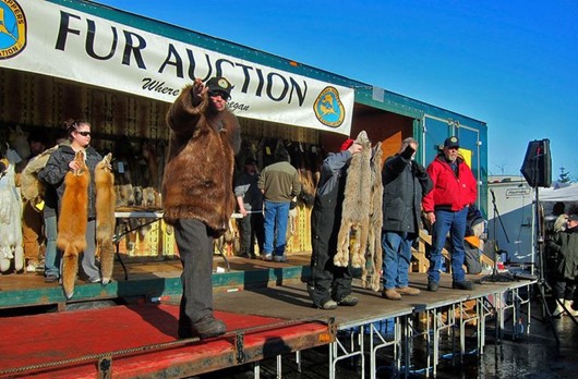 Занимательная Аляска Занимательная Аляска