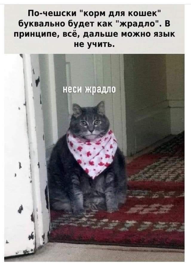 Юмор из интернета 608 позитив,смех,улыбки,юмор