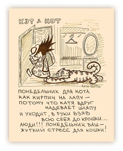 Юмор из интернета 608 позитив,смех,улыбки,юмор