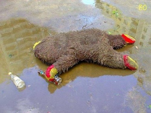Пьяные и смешные (24 фото)