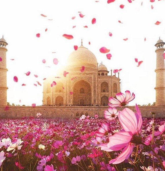 Прикольные фото и зачетные картинки из сети красивые фотографии,прикольные картинки,шикарные фотографии