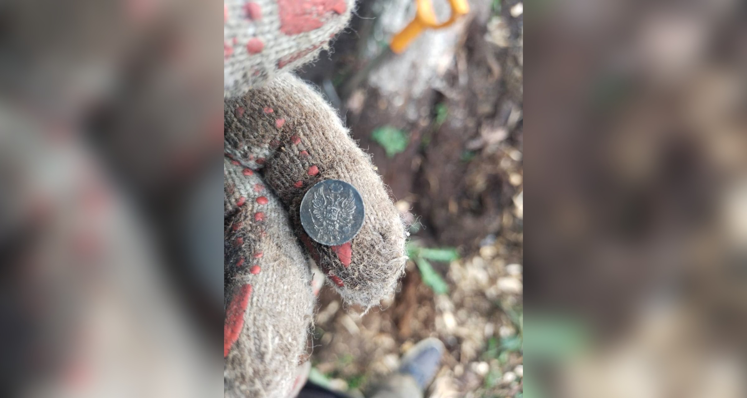 На Турку в корнях старого дерева нашли монетку 19 века