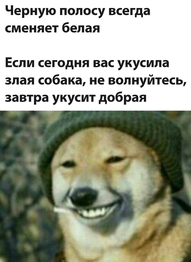Подборка прикольных картинок Подборка прикольных картинок приколы,смешные картинки,юмор