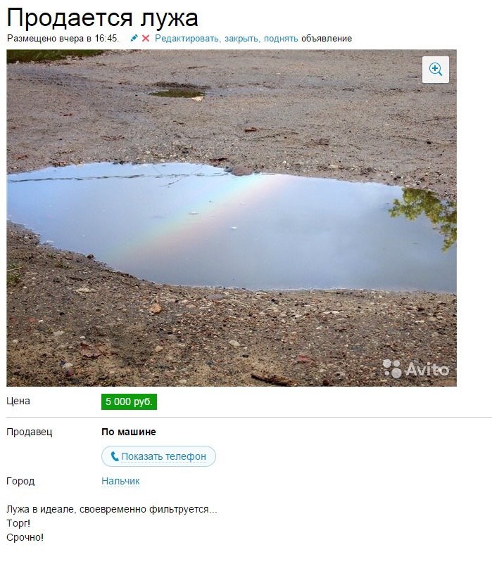 Можно попытаться продать лужу весна, дороги, россия