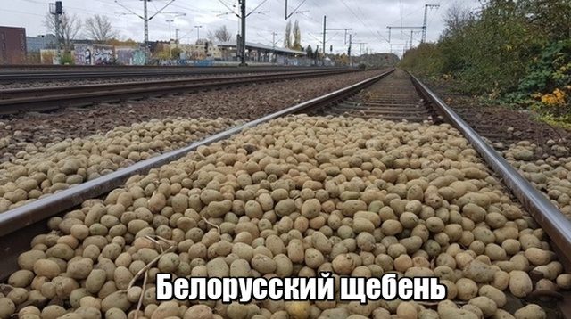 Подборка позитива в картинках 