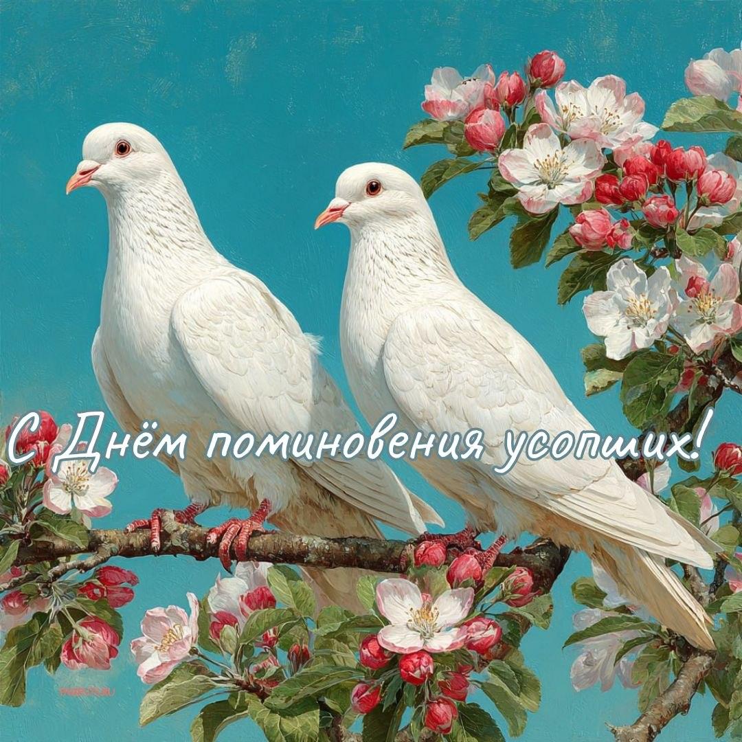 Красивые открытки на Радоницу: 40+ душевных картинок с днем поминовения Радоницу, открытки, после, Пасхи, Поэтому, жизнь, поводы, смысле, традиционном, поздравляют, Радоницей, радостиС, находить, близкие, равно, хорошее, только, вспоминать, вечная, должны