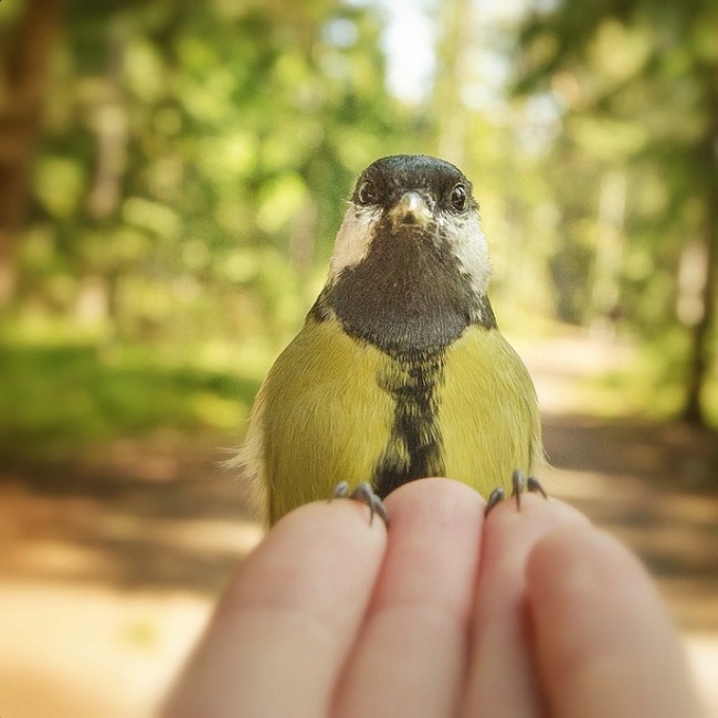 20 снимков фотографа, с которым дружат животные