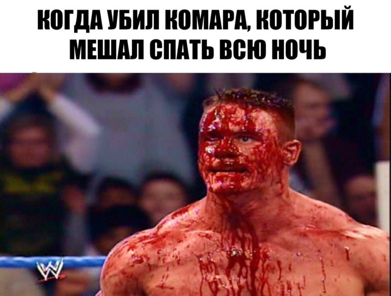 Смешные комментарии и высказывания из социальных сетей высказывания, комментарии, прикол