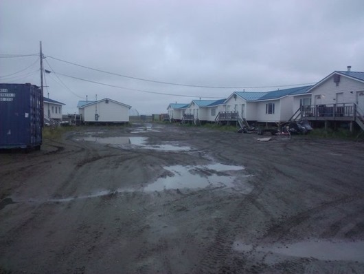 Занимательная Аляска Занимательная Аляска