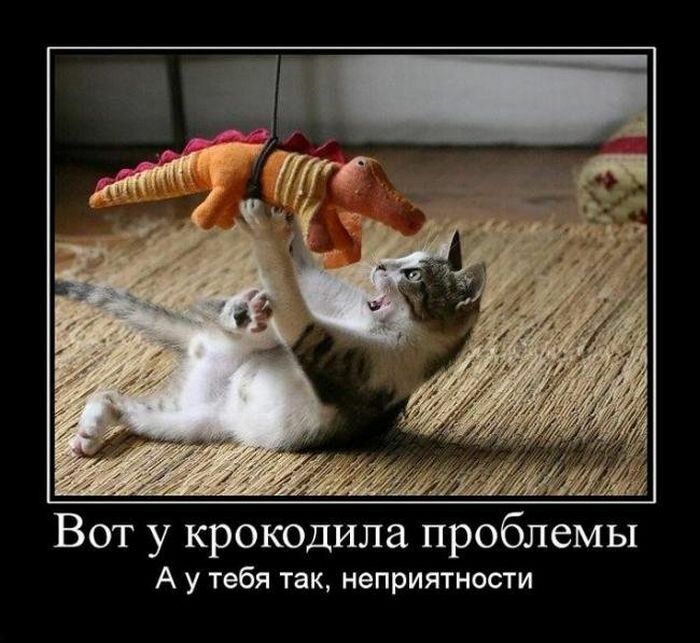 Приколы картинки демотиватор 2015