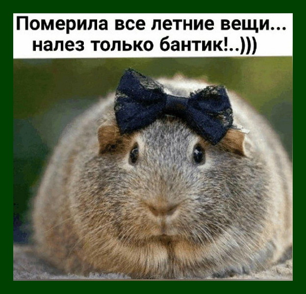 90% женщин не обращают внимания на мужчин в розовой футболке... 90% женщин не обращают внимания на мужчин в розовой футболке... Весёлые,прикольные и забавные фотки и картинки,А так же анекдоты и приятное общение