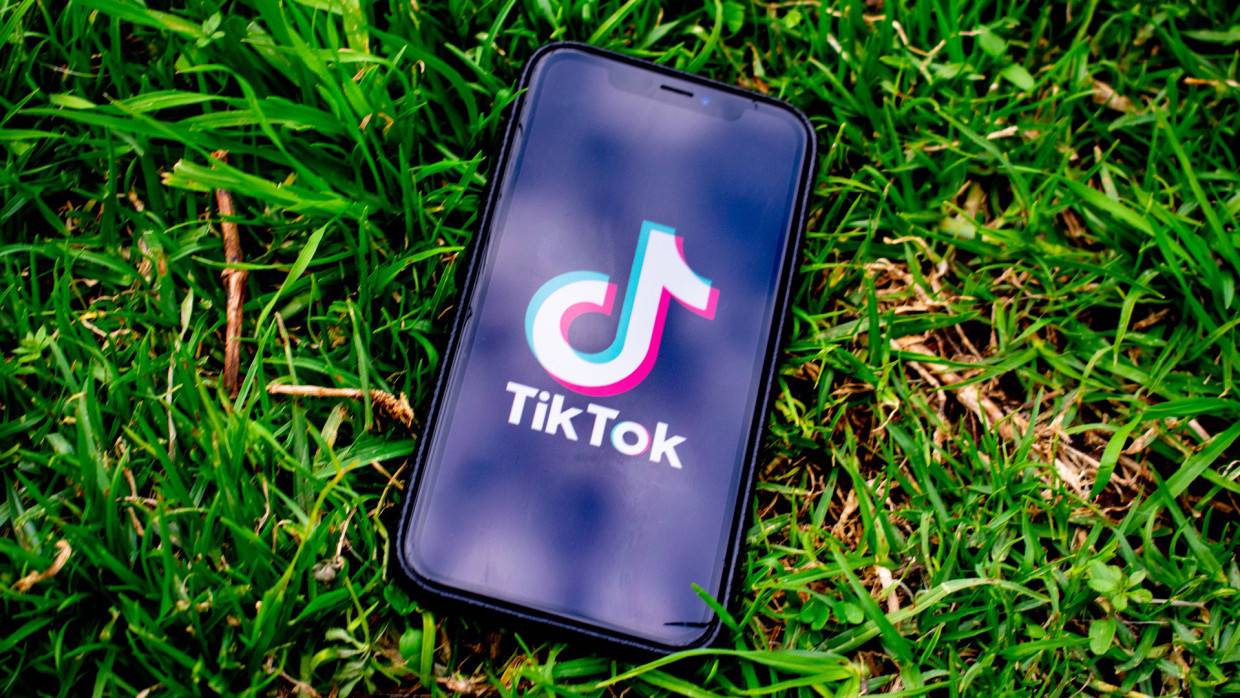 Видео с рисующей собакой стало самым популярным в TikTok за 2021 год