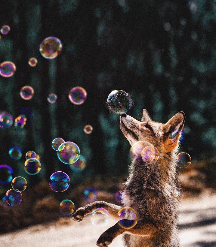 Классные картинки и зачетные фотографии из сети Классные картинки и зачетные фотографии из сети