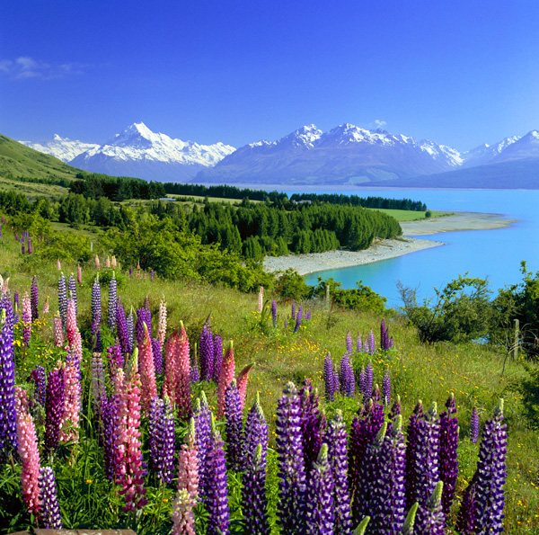 ÐÐ¾Ð²Ð°Ñ ÐÐµÐ»Ð°Ð½Ð´Ð¸Ñ