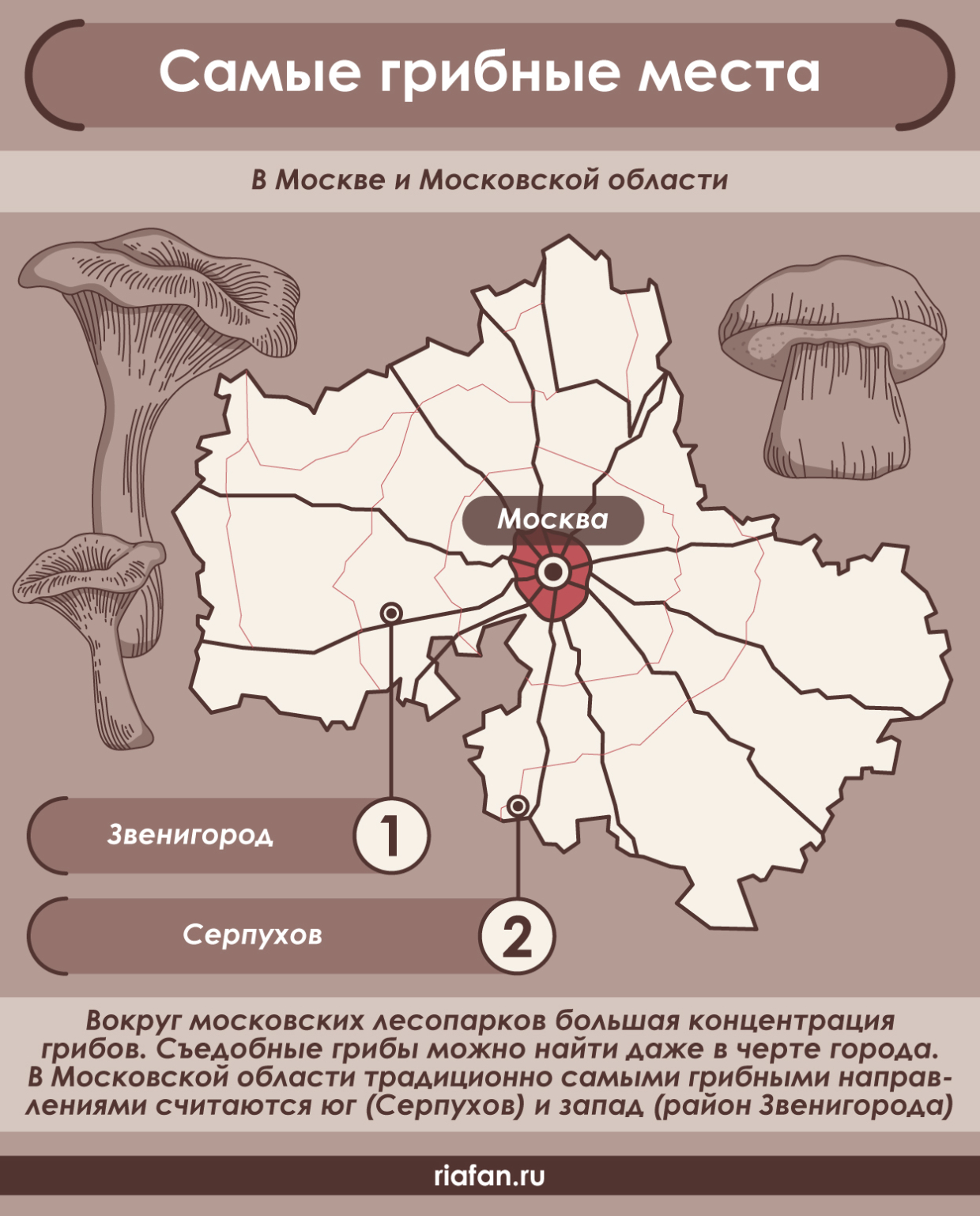 Миколог Вишневский назвал самые грибные места в Москве и Московской области