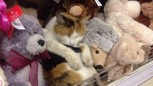 Мужики в день получки выходят с завода Мужики в день получки выходят с завода анекдоты