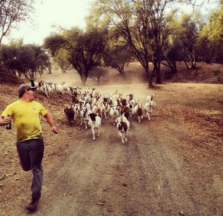 25 снимков из семейных архивов, которые заставляют краснеть и смеяться, смеяться и краснеть 25 снимков из семейных архивов, которые заставляют краснеть и смеяться, смеяться и краснеть