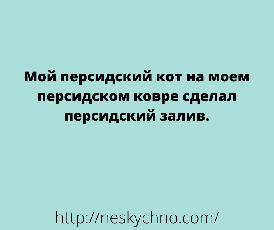 Подборка смешных анекдотов и открыток для настроения 