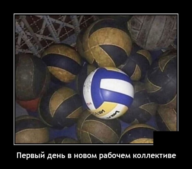 Новые демотиваторы 